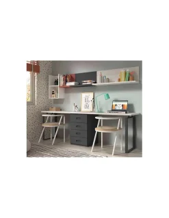 Dormitorio Juvenil con Litera F202 | Glicerio Chaves