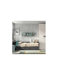 Dormitorio Juvenil F104 | Glicerio Chaves