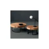 Mesa de centro Tronco | Altacorte