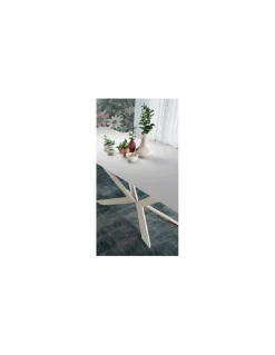 Mesa Ext. Motion | Ramiro Tarazona