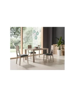 Mesa extensible 502