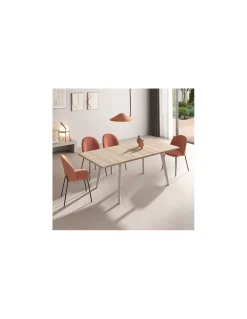 Mesa extensible M811