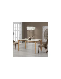 Mesa Geo | Indesan