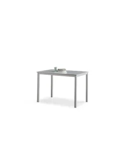 Mesa Leire