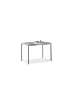 Mesa Leire