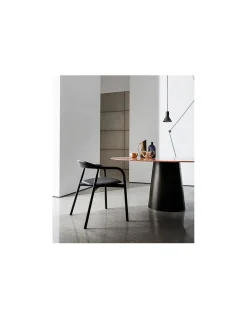 Mesa Totem 35 | Sovet