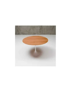 Mesa Tulip SA69 | Matrix