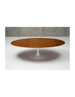 Mesa Tulip SA698 | Matrix