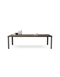 Mesa Wood | Devina Nais