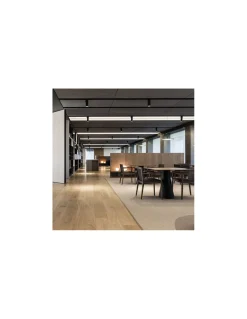Silla Carlotta 0916 | Andreu World