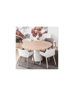 Silla Nuez 2770 B | Andreu World